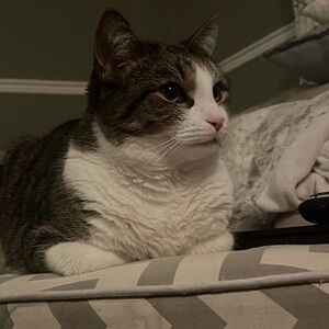 Meet your Posher, Kaylin